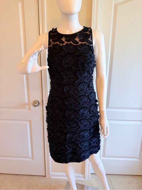 Ralph Lauren Dresses & Skirts - Ralph Lauren Navy Floral Appliqué Sleeveless Mini Dress Size 4 Like New